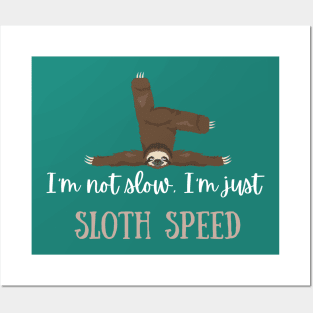 I am not slow. I'm just sloth speed Posters and Art